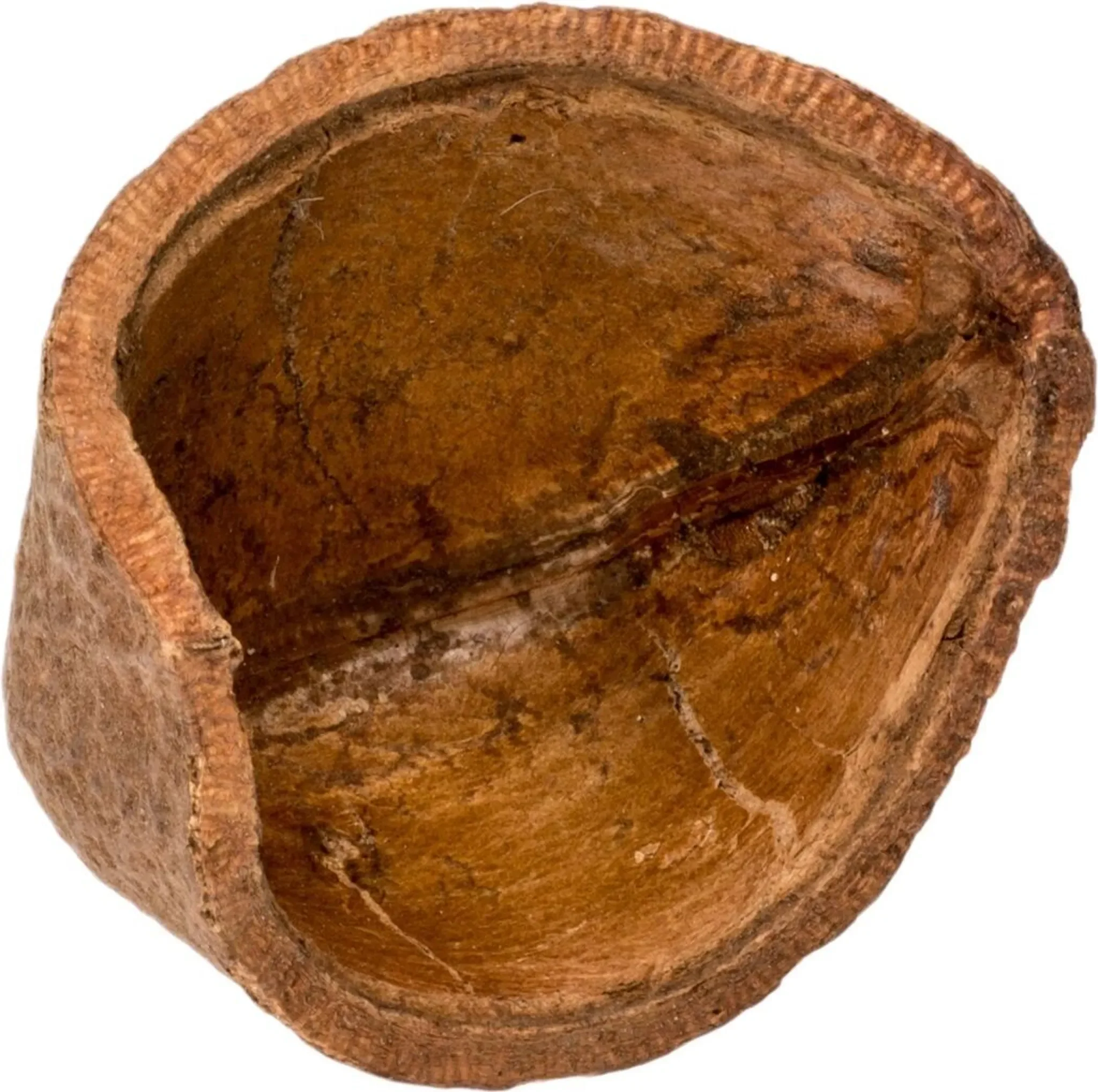 NaDeco - Casa Tingui – 5-10 cm, Magonia pubescens, Naturprodukt