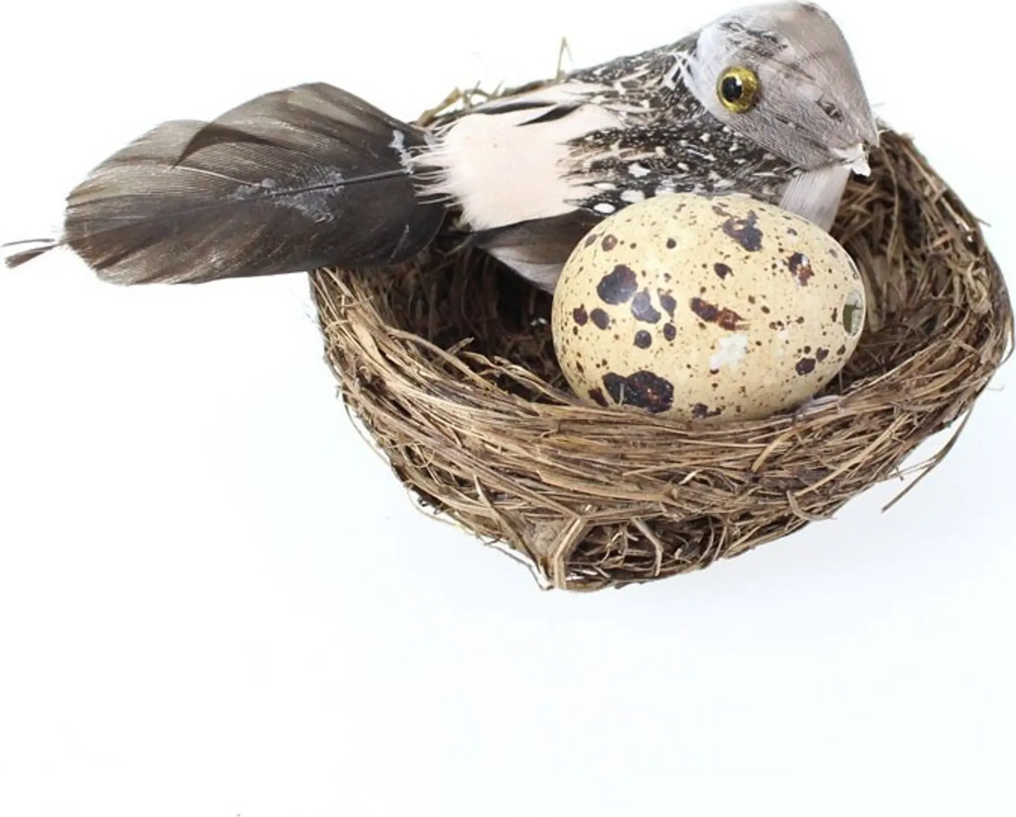 Floral-Direkt - Mini Vogelnest mit Vogel & echtem Wachtelei – Ø 7 cm, Federn & Dekoration